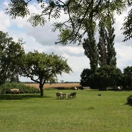 Kranich In Luessvitz *